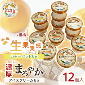 【ふるさと納税】果樹園のジェラート 柑橘食べ比べ12個セット 100ml×12個 冷凍 ギフト アイスクリーム シャーベット　【 スイーツ ひんやりスイーツ フルーツジェラート フルーツアイス さっぱり 】