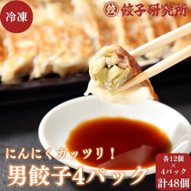 【ふるさと納税】【餃子研究所】各12個 x 4パック・計48個（男餃子4パック）にんにくガッツリ ぎょうざ 海ぼうず 冷凍 選べる　【 惣菜 冷凍餃子 中華 夕飯 夜ごはん おかず お酒のあて おつまみ ビールのおつまみ 】