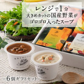 【ふるさと納税】【ギフトセット】 レンジで1分 野菜をMOTTO スープ 6個 ギフト セット レトルト インスタント 国産 ダイエット ベジMOTTOスープ 具だくさん 時短 手軽　【 スープセット 朝食 ランチ 】