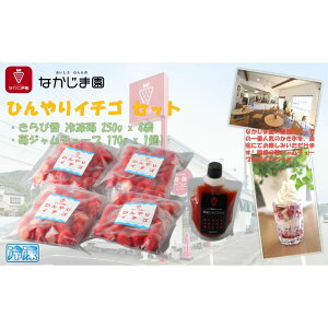 yӂ邳Ɣ[ŁzЂC`S Zbgiҍ Ⓚ 250g×4܁{䕃W `[u 170g×1jⓀ Ȃ܉  X ptF   Y t[c ́ | ʕ Ⓚt