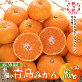 【ふるさと納税】【2026年12月下旬より順次発送】至福の青島みかん 約3kg 望月自然農園 静岡県貯蔵ミカン品評会優秀賞 フルーツ 柑橘 オレンジ みかん◆ | 果物類 みかん 柑橘 自然農園 静岡県 品評会 青島 柑橘類 オレンジ 望月農園 貯蔵ミカン 品評会優秀賞