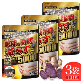 【ふるさと納税】ブラックジンジャー サプリメント フラムジンジャー 機能性表示食品 3袋セット◇
