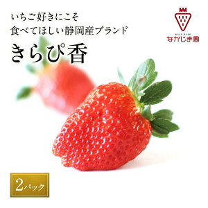yӂ邳Ɣ[Łz嗱ҍi450g×2pbNjMtgBOX Ȃ܉ 嗱 ʕ C`S  Mtg i j ϔ v[g Y t[c  ①