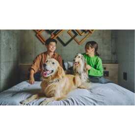 【ふるさと納税】【愛犬と一緒に泊まれるホテル・1HOTEL】ふるさと納税宿泊ギフト券30,000円分