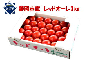 yӂ邳Ɣ[Łzy12菇znʃg}gwbhI[x11kg 5,000~ | ؁Eg}g