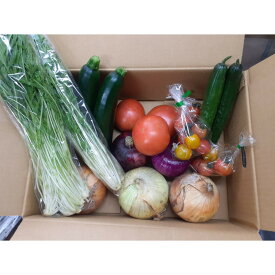 【ふるさと納税】旬のお野菜詰め合わせセット【配送不可：北海道・沖縄・離島（一部除く）・島しょ部】◇ | 旬 野菜 詰め合わせ セット 人気 おすすめ 送料無料