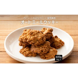 【ふるさと納税】オートミールクッキー プレーン 600g(100g×6袋)