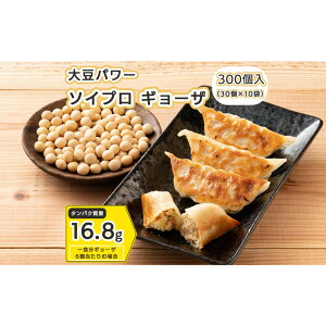 yӂ邳Ɣ[Łz哤p[ \CvM[U 300(30×10)