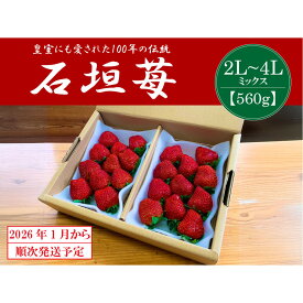 【ふるさと納税】【2026年1月より順次発送】静岡特産・石垣苺　2L～4Lミックス 約280g×2パック★紅ほっぺ | フルーツ 果物 くだもの 食品 人気 おすすめ 送料無料