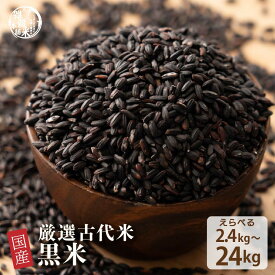 【ふるさと納税】【内容量が選べる】国産黒米 2.4kg～24kg◇ | 雑穀米 雑穀 お米 ダイエット 栄養 健康 おすすめ 人気 送料無料
