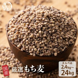 【ふるさと納税】【内容量が選べる】もち麦 2.4kg～24kg◇ | 雑穀米 雑穀 お米 ダイエット 栄養 健康 おすすめ 人気 送料無料