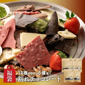 【ふるさと納税】割れチョコ14種類から5袋が届くお楽しみ福袋(内容ランダム・180g×5袋)