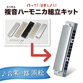 【ふるさと納税】手づくり工作シリーズ　13穴複音ハーモニカ 民芸品 工芸品