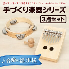 【ふるさと納税】塗って！作って！演奏しよう！ 手づくり楽器シリーズ3点セット　タンブリン、バードコール、カリンバ　【雑貨】