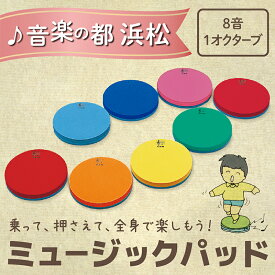 【ふるさと納税】乗って、押さえて、全身で楽しもう！ ミュージックパッド MP-8 雑貨