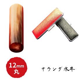 【ふるさと納税】オランダ水牛12mm（5書体）牛革ケース（赤）　【民芸品・工芸品】