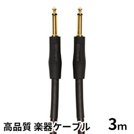 【ふるさと納税】【Roland純正】高品質楽器ケーブル 3m/RIC-G10【配送不可：離島】 雑貨 日用品