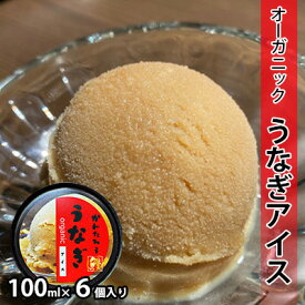 【ふるさと納税】鰻のかんたろうのオーガニックうなぎアイス 100ml×6個入り【配送不可：離島】 お菓子