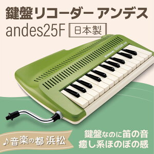 yӂ邳Ɣ[Łz`Fy߂錮ՃR[_[ AfX G pi