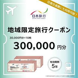 【ふるさと納税】静岡県浜松市　日本旅行　地域限定旅行クーポン300,000円分 チケット