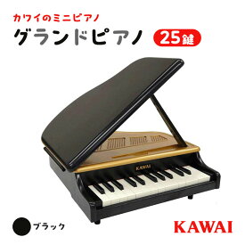 【ふるさと納税】KAWAIミニグランドピアノ黒（1191） 玩具 おもちゃ 雑貨 　お届け：※通常2週間以内でお届けできますが、在庫状況により1ヶ月程かかる場合がございます。