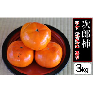 yӂ邳Ɣ[Łzy2025N11{菇zẙ`zY`PiLYj3kg 12 ʕ t[c  ~̖o Yn ÉY lsY @͂F2025N11{`20