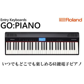 【ふるさと納税】電子ピアノ Roland 61鍵盤 ピアノ GO:PIANO ローランド bluetooth 対応 配送不可：離島　【 楽器 電化製品 音楽機器 】