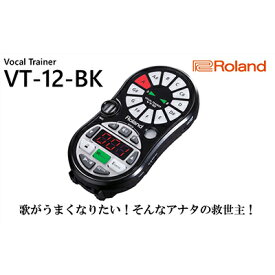 【ふるさと納税】【Roland】ボーカルトレーナー/VT-12-BK【配送不可：離島】　【雑貨・日用品・オーディオ機器】