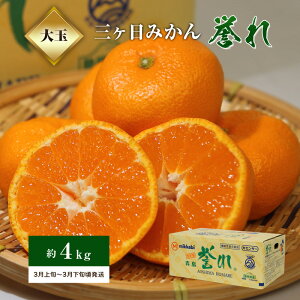 �y�ӂ邳�Ɣ[�Łz�y2026�N3����{��菇�������z�O�P���݂���u�_��v ��4kg�@���͂��F2026�N3����{�`3�����{��