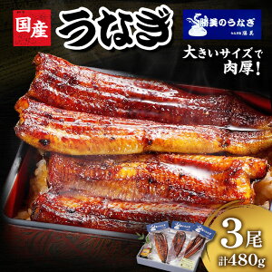 yӂ邳Ɣ[ŁzȂ l Y V  3 (160g×3 ^75ml×1 Rt) Zbg  yp̉N̓ N̓  ^pbN YȂ lȂ l΂Ȃ Ă Mtg v[