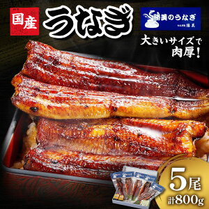 yӂ邳Ɣ[ŁzȂ l Y V  5 (160g×5 ^75ml×2 Rt) Zbg  yp̉N̓ N̓  ^pbN YȂ lȂ l΂Ȃ Ă Mtg v[