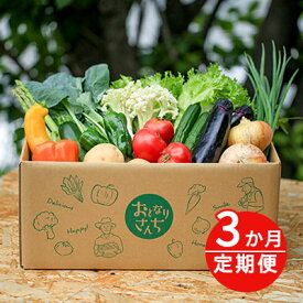 【ふるさと納税】おとなりさんち厳選！浜松から鮮度抜群！旬の野菜BOX【定期便3か月分】【配送不可：沖縄・離島】　【定期便・野菜・セット・詰合せ】