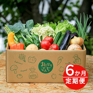 【ふるさと納税】おとなりさんち厳選!浜松から鮮度抜群!旬の野菜BOX【定期便6か月分】【配送不可:沖縄・離島】 セット 詰合せ