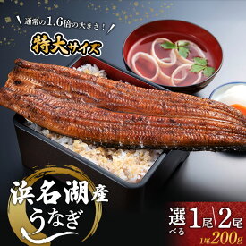 【ふるさと納税】国産うなぎ 浜名湖産 蒲焼き 1尾～選べる容量 山椒 たれ セット 詰め合わせ 海老仙 国産ウナギ 国産 うなぎ ウナギ 鰻 うなぎの蒲焼 鰻の蒲焼き 小分け おすすめ 贈答用 土用の丑の日 静岡 静岡県 浜松市　お届け：10日～1か月