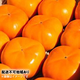 【ふるさと納税】テルの次郎柿 鮮度保持袋入り 3L～M 3kg 10～16玉 11月発送 長寿郎 柿 かき 果物 くだもの フルーツ 旬の果物 旬のフルーツ 秋の味覚 次郎柿 デザート 静岡 静岡県 浜松市 【配送不可：離島】　お届け：2025年11月15日～2025年11月30日まで