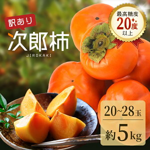 yӂ邳Ɣ[Łz󂠂 Y`uYi傤낤jv2L`MTCY 5kg 20`28ʓ 11 `  ʕ  t[c {̉ʕ Y` É lsyzsFz@