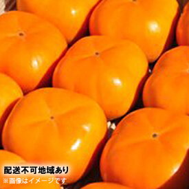 【ふるさと納税】12月20日から順次発送　鮮度保持袋入り テルの次郎柿『長寿郎』10玉～16玉入り【配送不可：離島】 果物類 果物 かき 甘い 3キロ 柔らかい フルーツ 　お届け：2025年12月20日～2026年1月30日まで