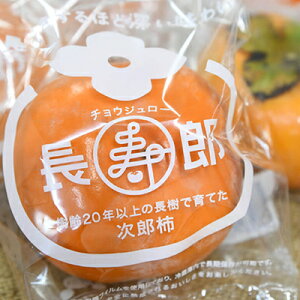 yӂ邳Ɣ[Łze̎Y` 2L 1.5kg 6 p 11{菇 ` ʕ t[c {̉ʕ {̃t[c H̖o Y` Mtg 蕨 v[g fU[g  É É l