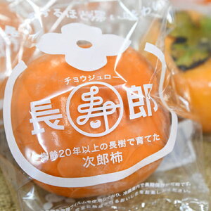 yӂ邳Ɣ[Łz11{菇yEΕze̎Y`wYx4L@6ʓyzsFz ʕ ʕ  Â 2L _炩 t[c p Mtg @͂F202