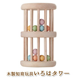 【ふるさと納税】エドインター いろはタワー 日本産 知育玩具 木製玩具　【玩具・おもちゃ】