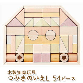 【ふるさと納税】エドインター つみきのいえL 日本産 知育玩具 木製玩具 おもちゃ