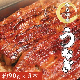 【ふるさと納税】うなぎ 浜名湖産 鰻蒲焼 約90g×3本 父の日 土用の丑の日 丑の日　【 うなぎ 鰻 】