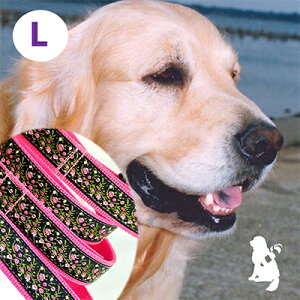 yӂ邳Ɣ[Łzy^pELTCYzn[t`[NJ[ƃ[h̃Zbgiv`t[sNj G ybgObY ybgpi  ܂Ȃ ꂵȂ Ȃ  { 