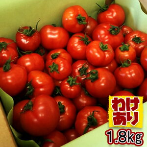 【ふるさと納税】機能性表示食品 Hapitoma ハピトマ わけあり(1.8kg)【配送不可:離島】 野菜 ベジタブル ダブル成分 GABA リコピン ストレス 緩和 LDLコレステロール 低下
