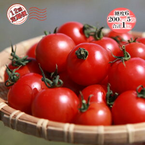 yӂ邳Ɣ[Łzy12ցz@\\Hi Hapitoma nsg} x6i1kgjyzsFz  xW^u _u GABA Rs XgX ɘa LDLRXe[ ቺ