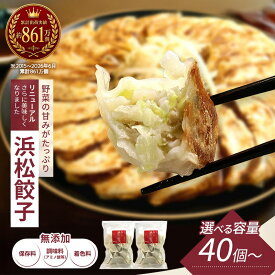 【ふるさと納税】惣菜 定期便 浜松餃子 セット 野菜たっぷり 知久屋 冷凍餃子 焼き餃子 生餃子 冷凍食品 国産材料 選べる容量 回数 おかず おつまみ 静岡県浜松市 ご当地グルメ　お届け：10～20日