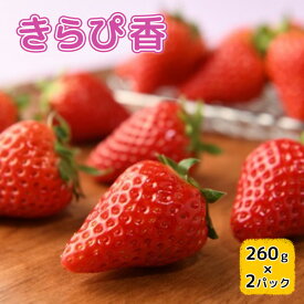 【ふるさと納税】【2026年1月中旬より順次発送】いちご きらぴ香 260g×2パック【配送不可：離島】 果物 フルーツ デザート 食後 新品種 酸味が少ない 甘味が強い 国産 静岡県産 浜松市産 　お届け：2026年1月中旬～2月下旬