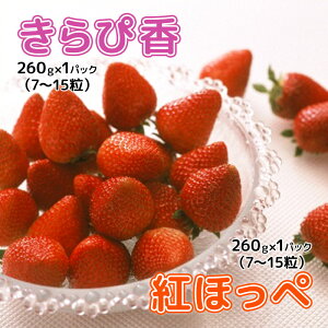 yӂ邳Ɣ[Łzy2026N1{菇z Hה Zbg iҍ E gق 260g×e1pbNj v 2pbNyzsFz ʕ t[c W[V[ _Ȃ V