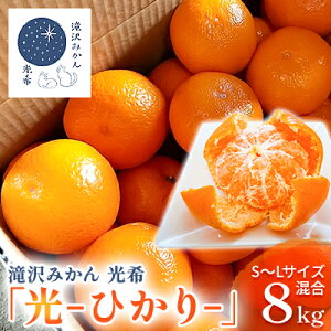 yӂ邳Ɣ[Łzy2025N10{菇z݂ u-Ђ-v瑁8kg iS`LTCYj lsY B݂ ʕ k t[c fU[g H Y Yn @͂F