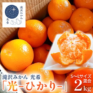 yӂ邳Ɣ[Łzy2025N10{菇z݂u-Ђ-v瑁2kgiS`LTCYj lsY B݂ ʕ k t[c fU[g H Y Yn @͂F20